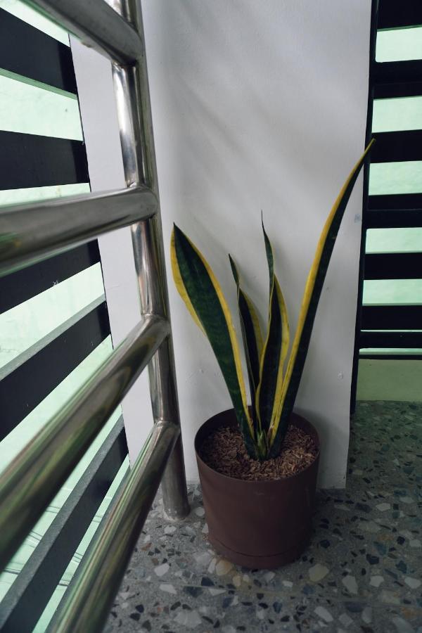 Cebu Backpackers Hostel Εξωτερικό φωτογραφία